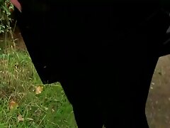Una latina de cabello castaño está recibiendo una corrida dentro de su coño mojado