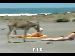 Una pequeña asiática a la que le encantan las pollas lame una grande en el sofá
