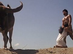 Chica de ébano de gran culo se está llenando con la hombría de un blanco